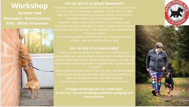 Workshop