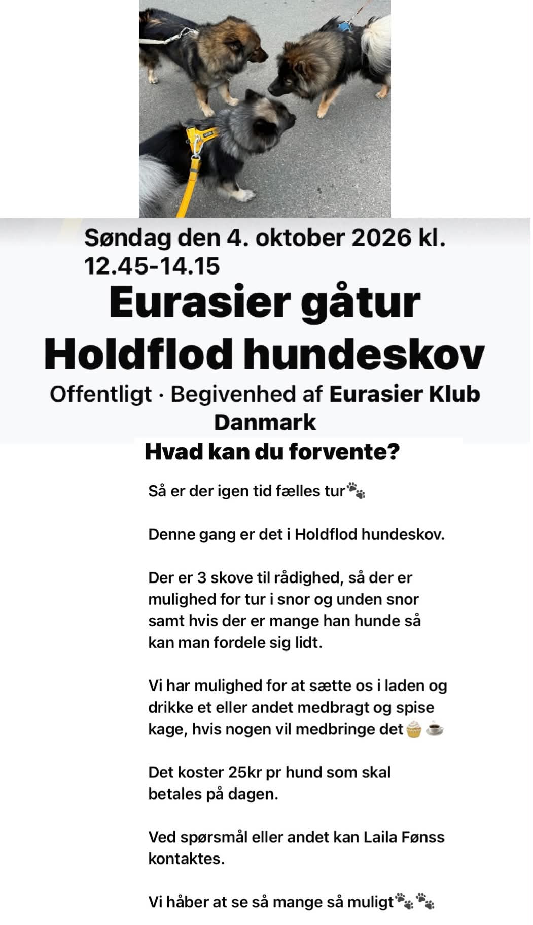 Gåtur 1