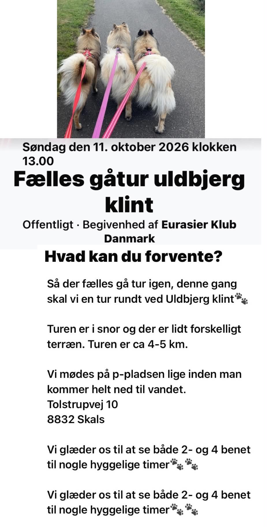 Gåtur 2