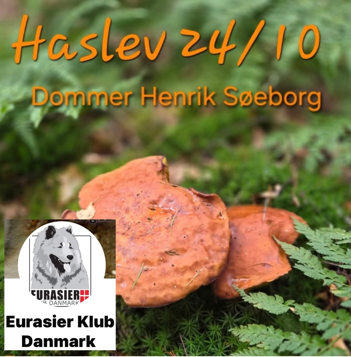 Haslev 24 okt