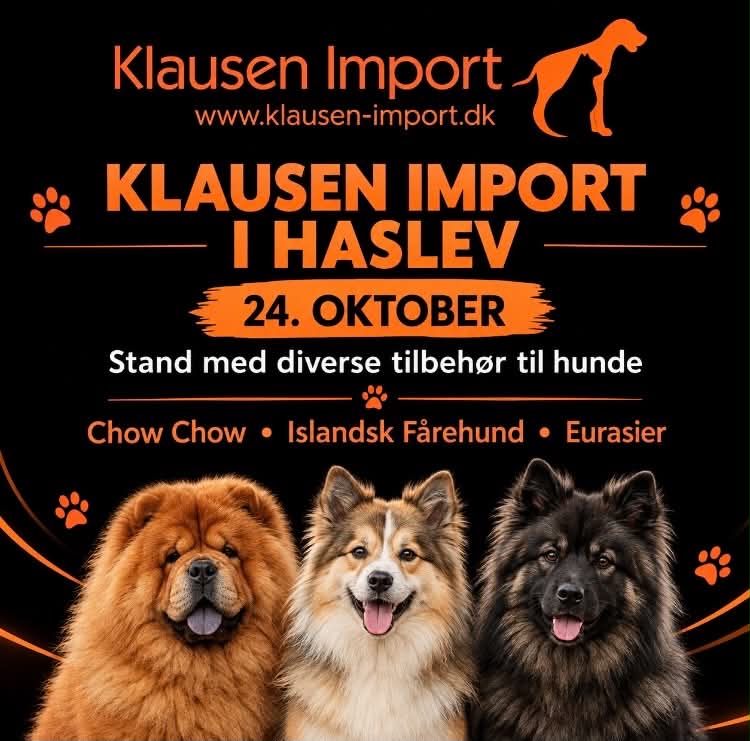 foto Haslev 24 okt