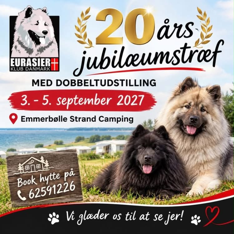 jubilæum 2027 billed
